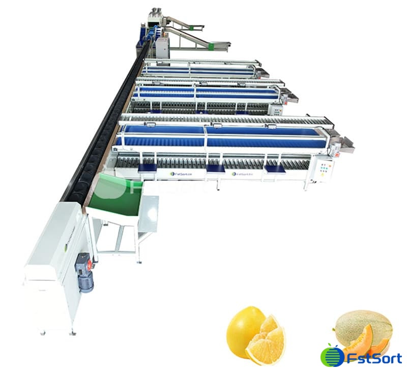 images/1698652537605big fruit sorting machine.jpg